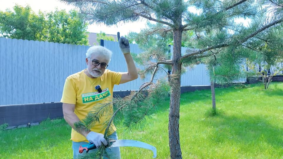 Технологии декоративного садоводства в новом выпуске программы «Вперёд, товарищи! На дачу!»: Технологии декоративного садоводства в новом выпуске программы «Вперёд, товарищи! На дачу!»: