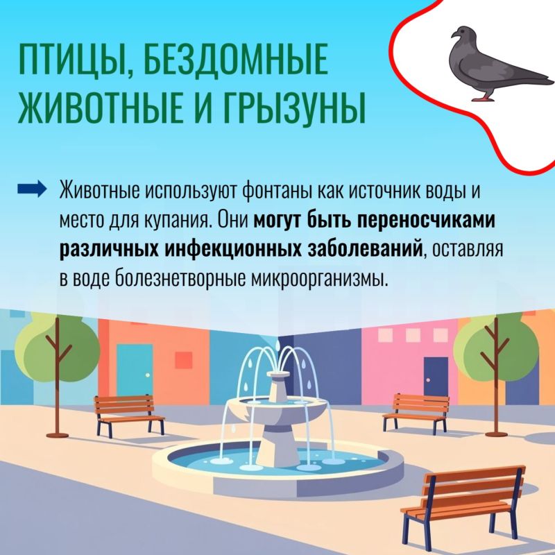 Фонтаны — это украшение города, а не место для купания Фонтаны — это украшение города, а не место для купания