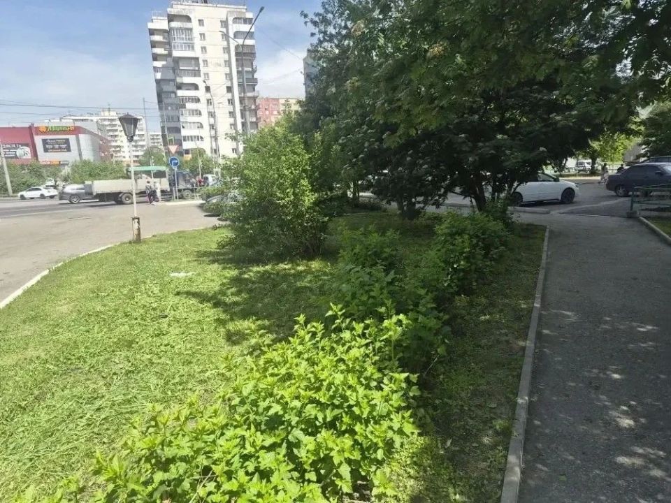 В настоящее время управляющие компании города Новокузнецка продолжают выполнение работ по покосу травы на придомовых территориях многоквартирных домов во всех районах города В настоящее время управляющие компании города Новокузнецка продолжают выполнение работ по покосу травы на придомовых территориях многоквартирных домов во всех районах города