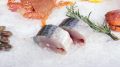Как правильно сохранить рыбу в морозильной камере: советы экспертов