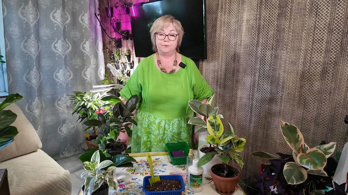 Технологии очистки земли от сорной растительности в новом выпуске программы «Вперёд, товарищи! На дачу!»: Технологии очистки земли от сорной растительности в новом выпуске программы «Вперёд, товарищи! На дачу!»: