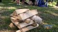 Набраться сил и положительных эмоций