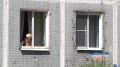 В жаркой и предпраздничной обстановке прошёл рабочий день губернатора в южной столице Кузбасса