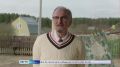 На большой экран выходит продолжение семейной комедии "На деревню дедушке"