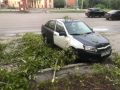 Сильным ветром повалило деревья в Новокузнецке и Белове