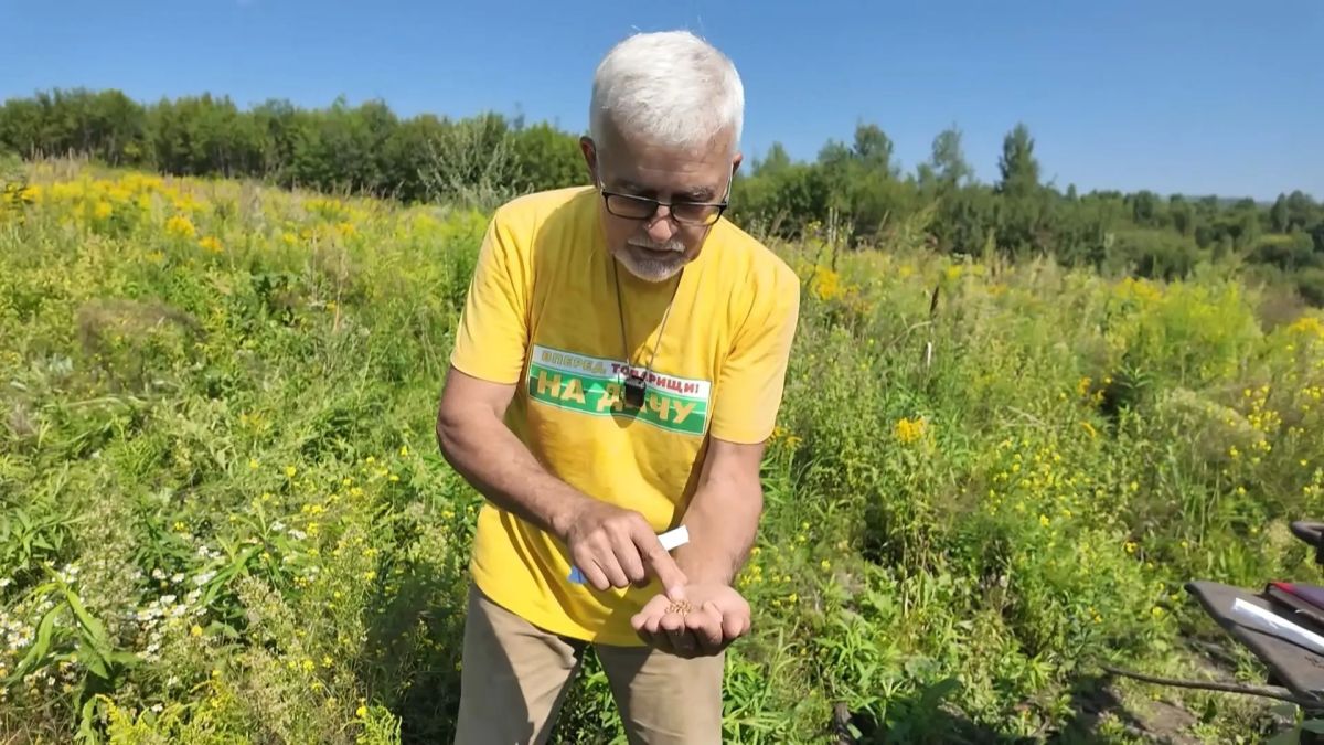 В новом выпуске программы «Вперёд, товарищи! На дачу!» ведущий Анатолий Степнов продолжает разговор о том, как возвратить старую заброшенную землю в культурную пашню В новом выпуске программы «Вперёд, товарищи! На дачу!» ведущий Анатолий Степнов продолжает разговор о том, как возвратить старую заброшенную землю в культурную пашню