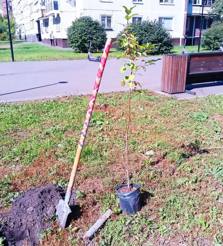Зелёные перемены: Комитет ЖКХ — в рядах участников акции по озеленению города! Зелёные перемены: Комитет ЖКХ — в рядах участников акции по озеленению города!