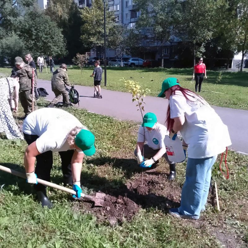 Зелёные перемены: Комитет ЖКХ — в рядах участников акции по озеленению города! Зелёные перемены: Комитет ЖКХ — в рядах участников акции по озеленению города!