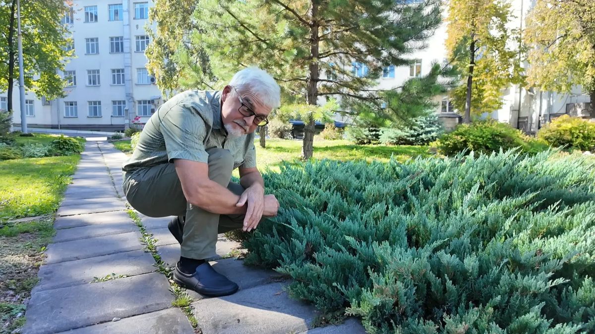 Сквер возле Первой городской больницы, декоративные растения и новый выпуск программы «Вперёд, товарищи! На дачу!»: Сквер возле Первой городской больницы, декоративные растения и новый выпуск программы «Вперёд, товарищи! На дачу!»: