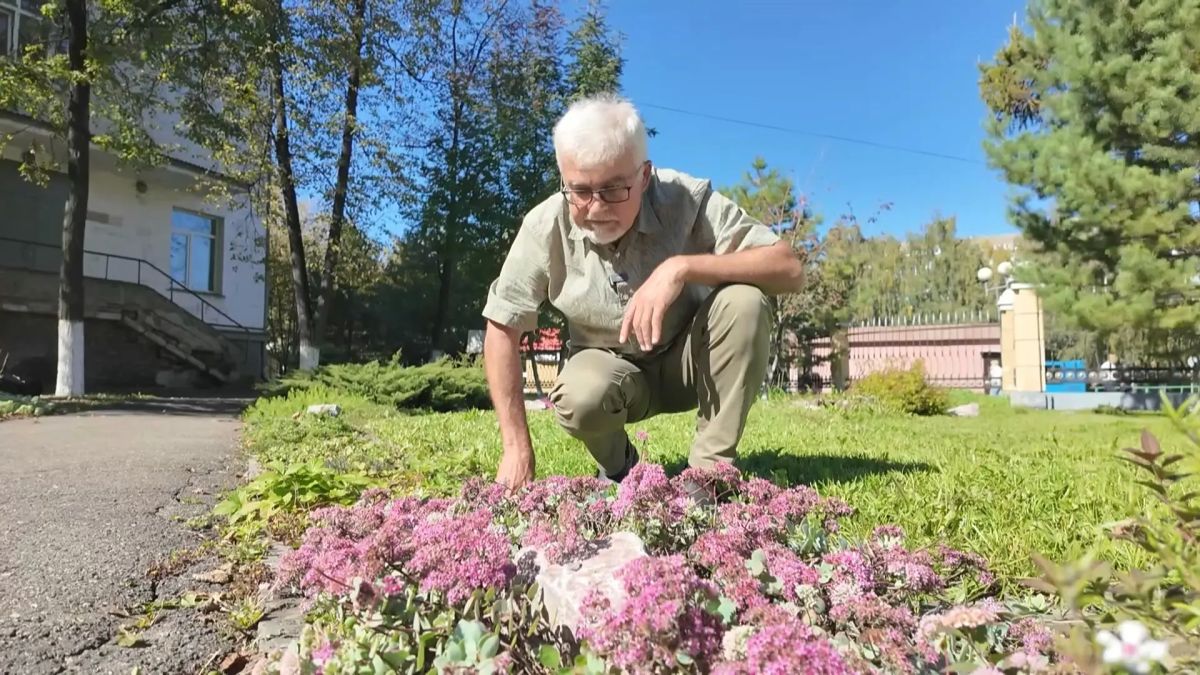 Сквер возле Первой городской больницы, декоративные растения и новый выпуск программы «Вперёд, товарищи! На дачу!»: Сквер возле Первой городской больницы, декоративные растения и новый выпуск программы «Вперёд, товарищи! На дачу!»: