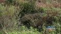 Благоустройство на финишной прямой