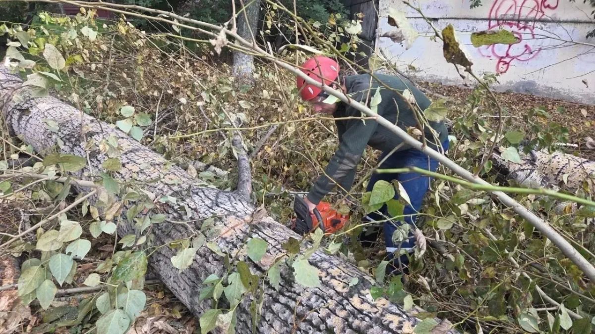 Когда учения идут параллельно с реальными спасениями Когда учения идут параллельно с реальными спасениями
