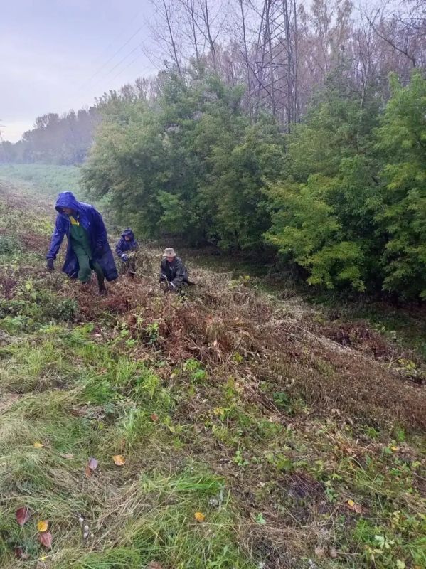 В Новокузнецке продолжаются плановые работы на гидротехнических сооружениях В Новокузнецке продолжаются плановые работы на гидротехнических сооружениях