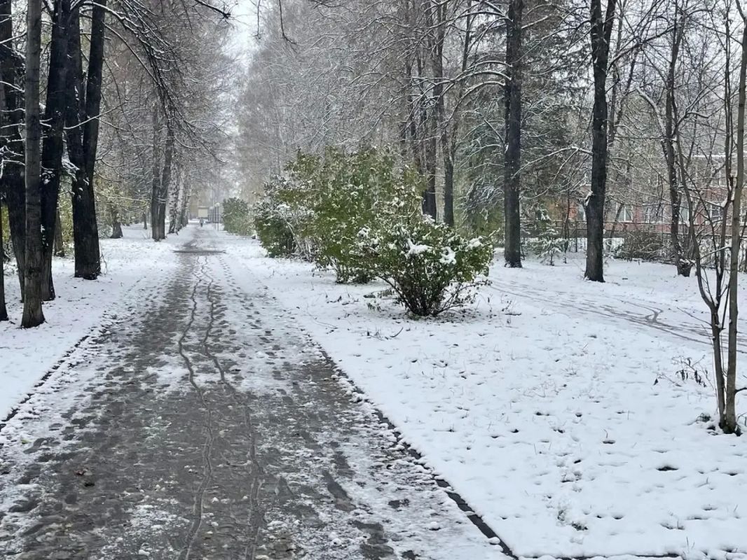 В Кемерове городские службы вышли на уборку улиц во всех районах В Кемерове городские службы вышли на уборку улиц во всех районах