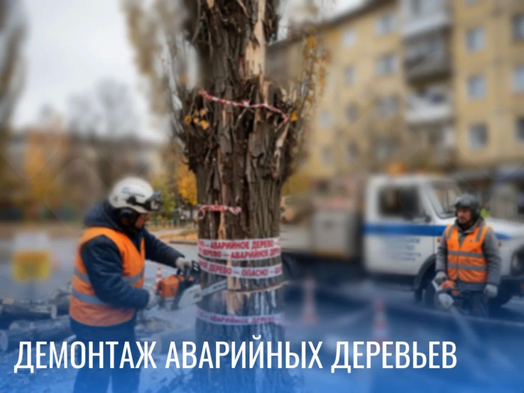На участке автодорог улиц Горноспасательная и Димитрова с 23:00 21.10.2026 до 05:00 22.10.2026 будут проводиться работы по демонтажу аварийных деревьев