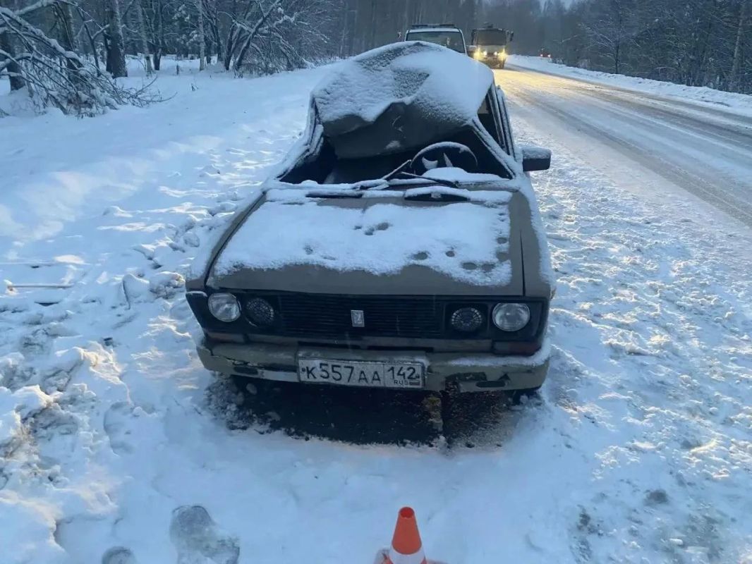 В Новокузнецком округе водитель без прав сбил лося В Новокузнецком округе водитель без прав сбил лося